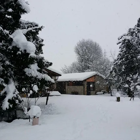 R&b Albero Cavo Parma