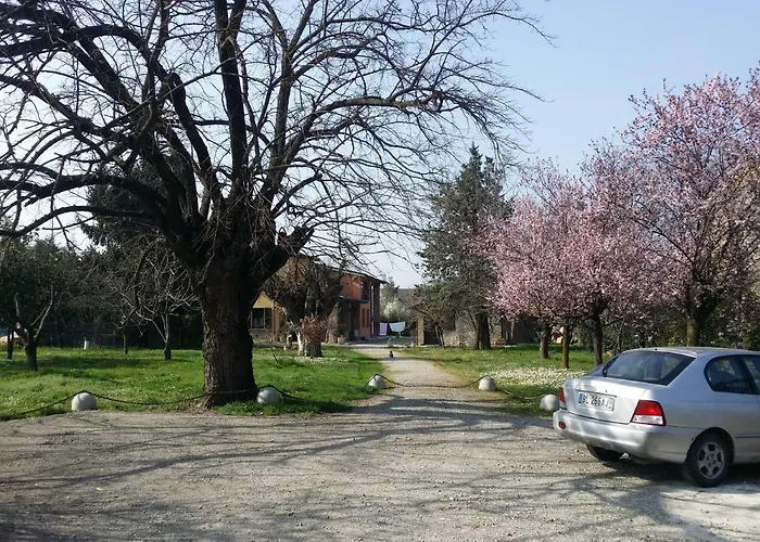 R&b Albero Cavo 3* Parma