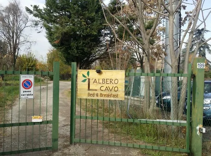 R&b Albero Cavo Parma