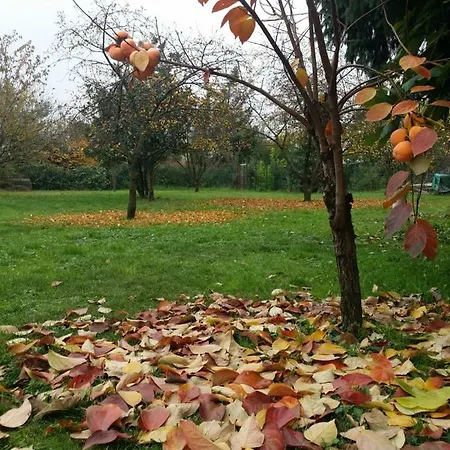 R&b Albero Cavo Bed & Breakfast