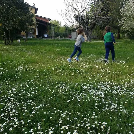R&b Albero Cavo Bed & Breakfast 3*