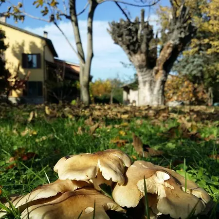 R&b Albero Cavo Bed & Breakfast Parma