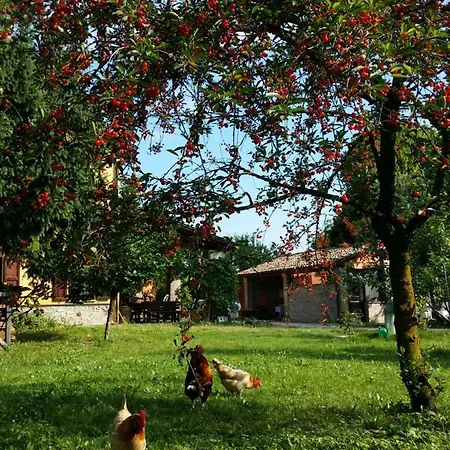 R&b Albero Cavo Bed & Breakfast Parma