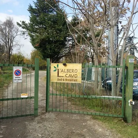 R&b Albero Cavo Parma