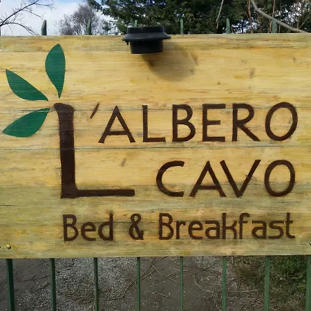 R&b Albero Cavo Parma