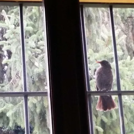 Bed & Breakfast R&b Albero Cavo Parma