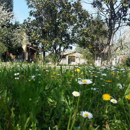 R&b Albero Cavo Bed & Breakfast 3*