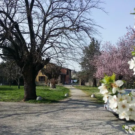 R&b Albero Cavo Parma