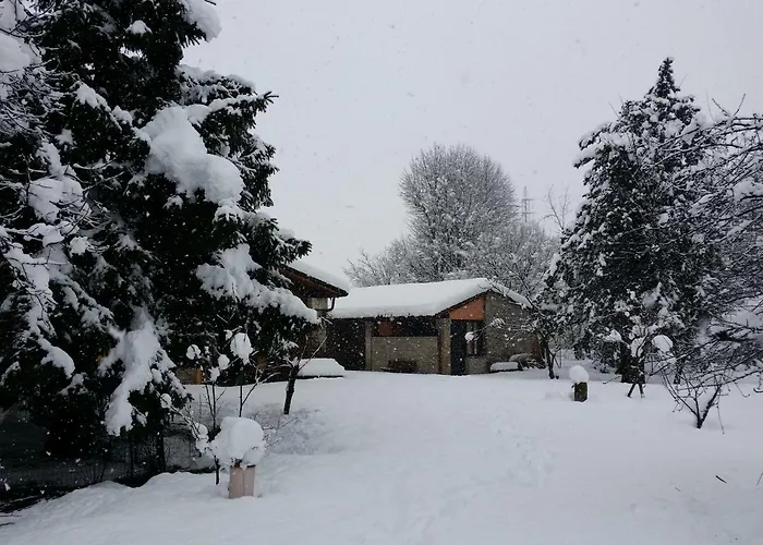 R&b Albero Cavo Parma