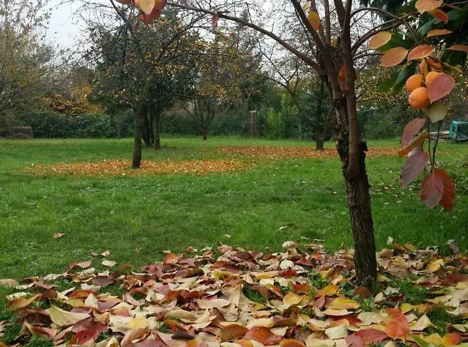 R&b Albero Cavo Oda ve Kahvaltı