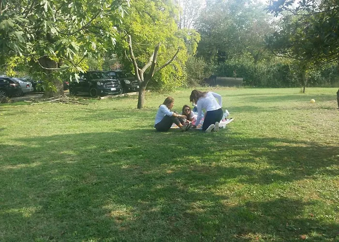 R&b Albero Cavo Parma