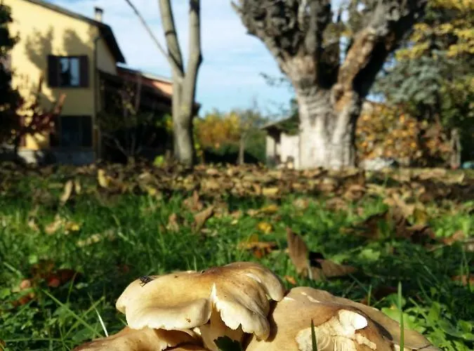 R&b Albero Cavo Bed & Breakfast Parma