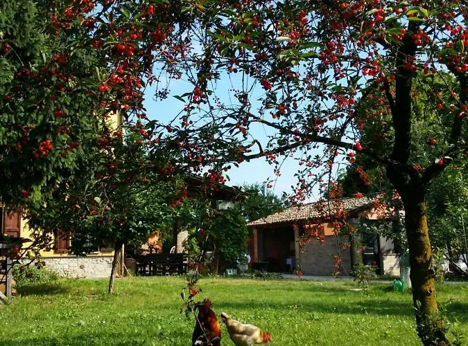 R&b Albero Cavo Oda ve Kahvaltı Parma