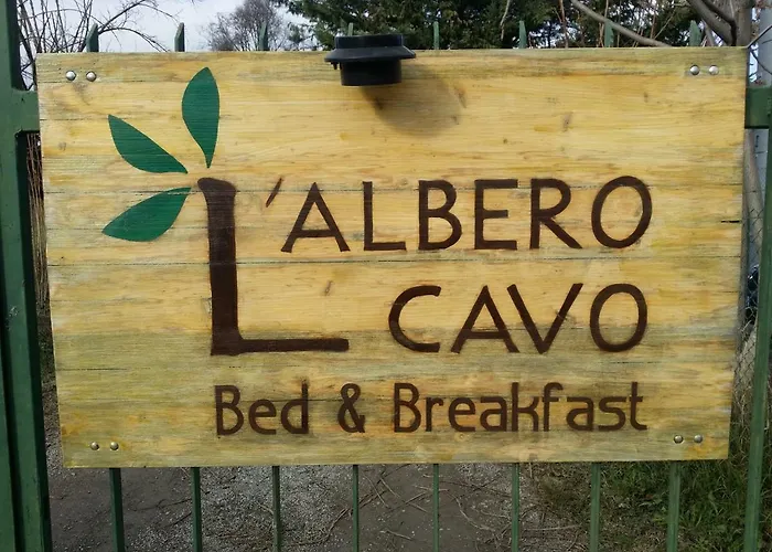 R&b Albero Cavo Parma