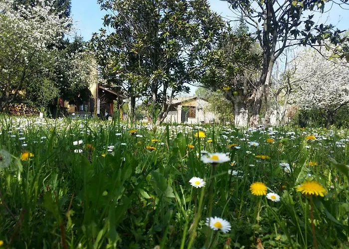 R&b Albero Cavo Oda ve Kahvaltı 3*